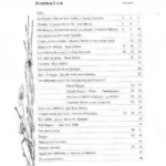 fanzine-kergouez-sommaires SPTB